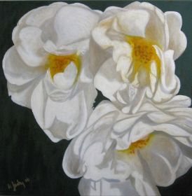 40 Weiße Rosen 1.JPG