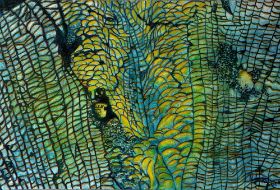small_26184986_0_1000-678
